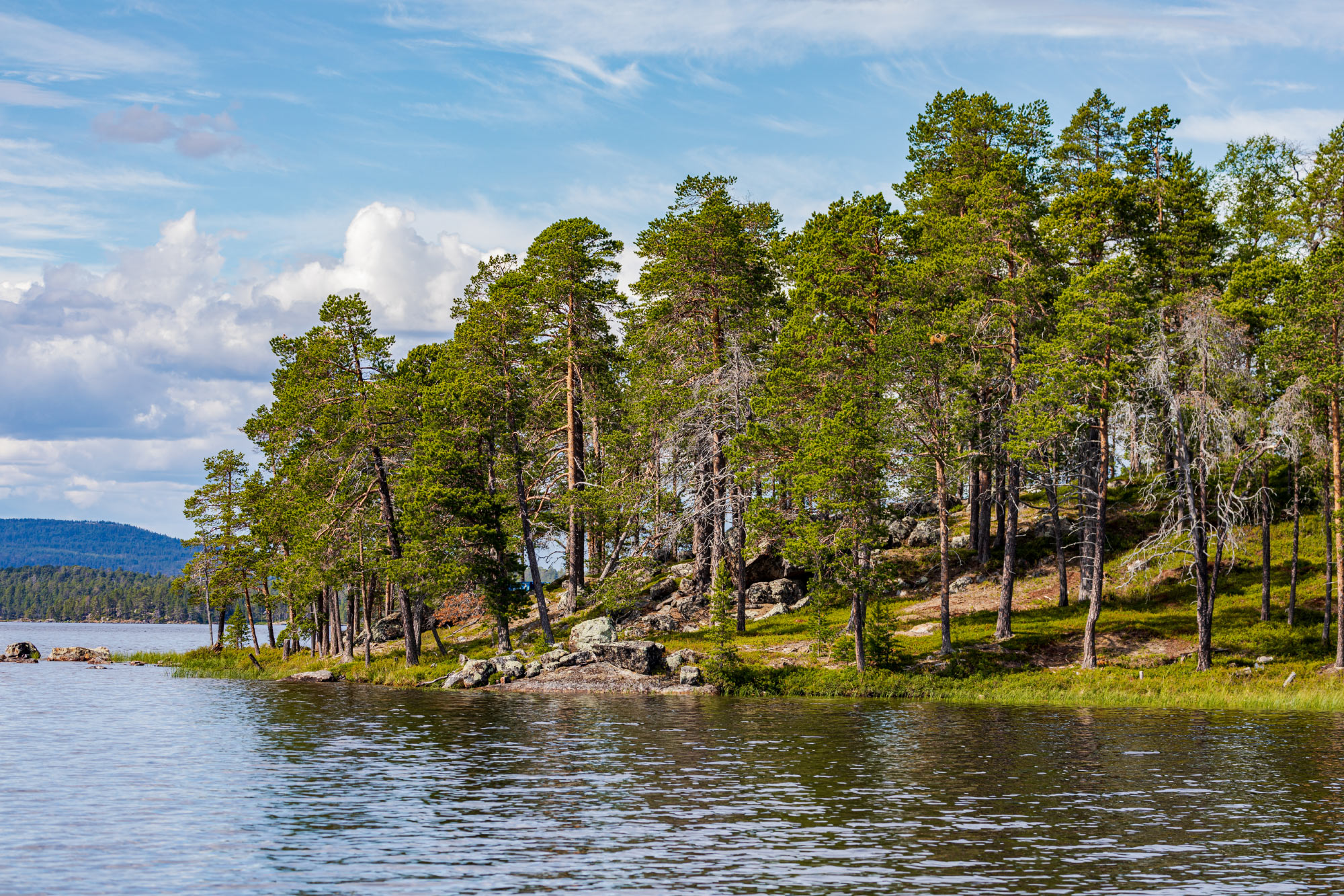 Inari (Photo license: CC BY 2.0)